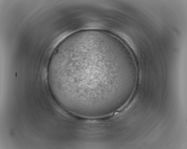 X0000113961465200910091619