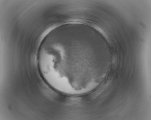 X0000113961466200910091619