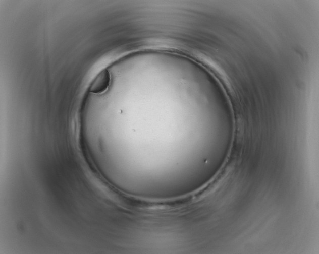 X0000113961467200910091619