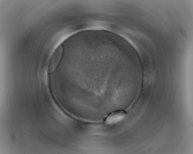 X0000113961468200910091619