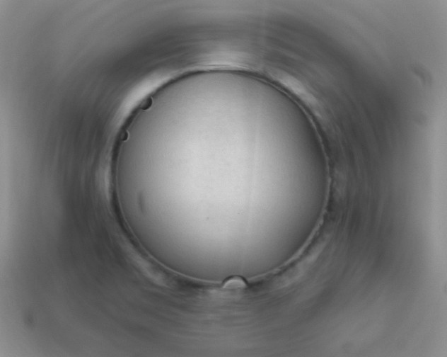 X0000113961469200910091619