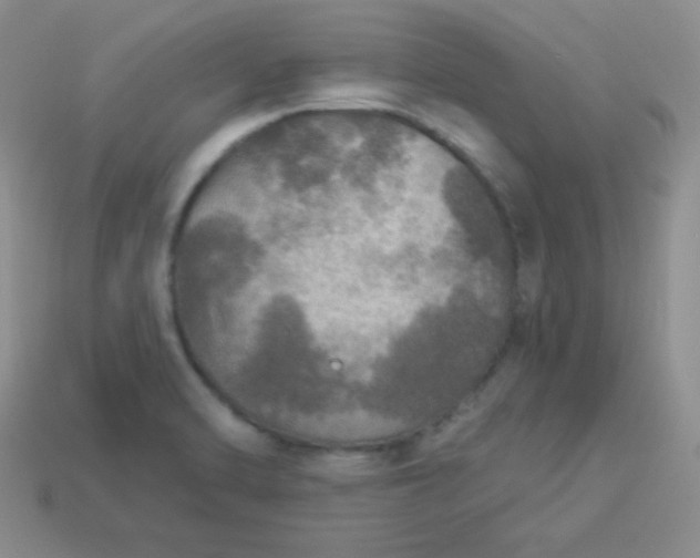 X0000113961470200910091619