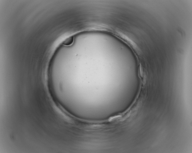 X0000113961471200910091619