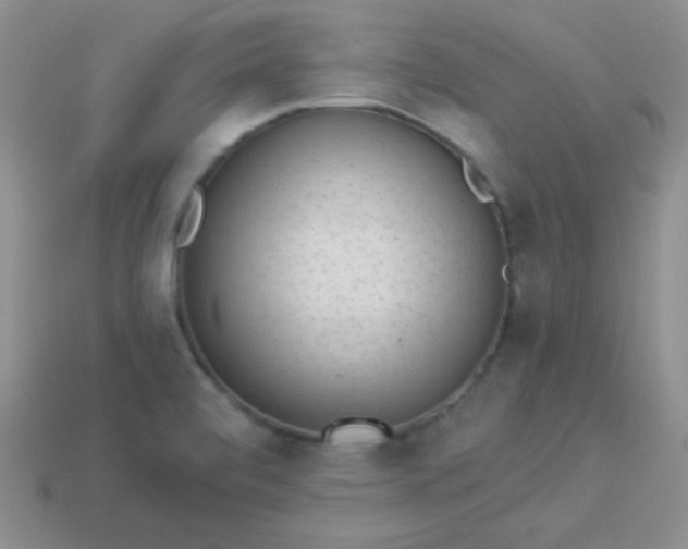 X0000113961472200910091619