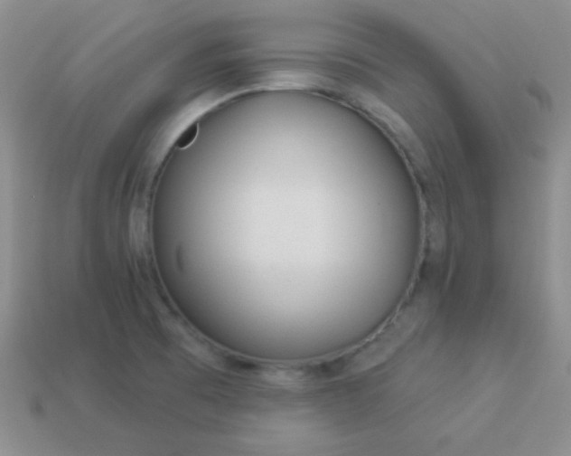 X0000113961473200910091619