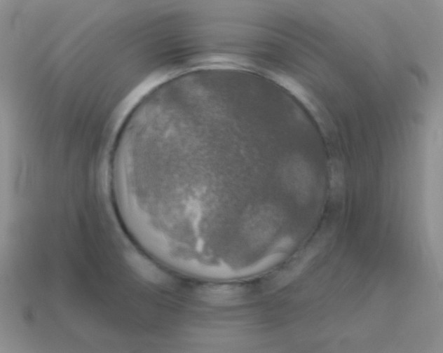 X0000113961474200910091619