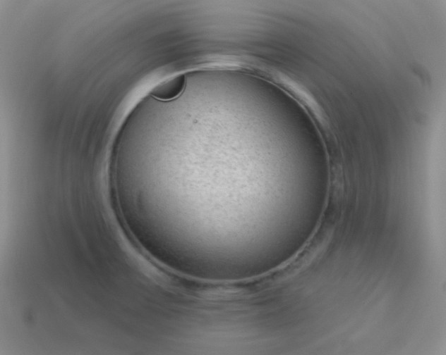 X0000113961475200910091619