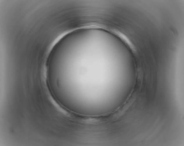 X0000113961476200910091619