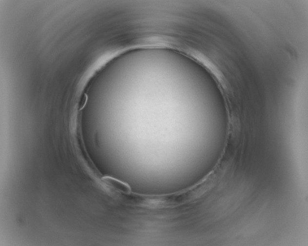 X0000113961477200910091619