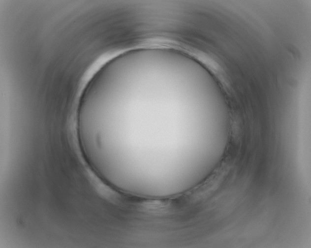 X0000113961478200910091619