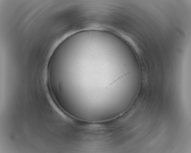 X0000113961479200910091619