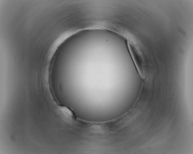 X0000113961480200910091619