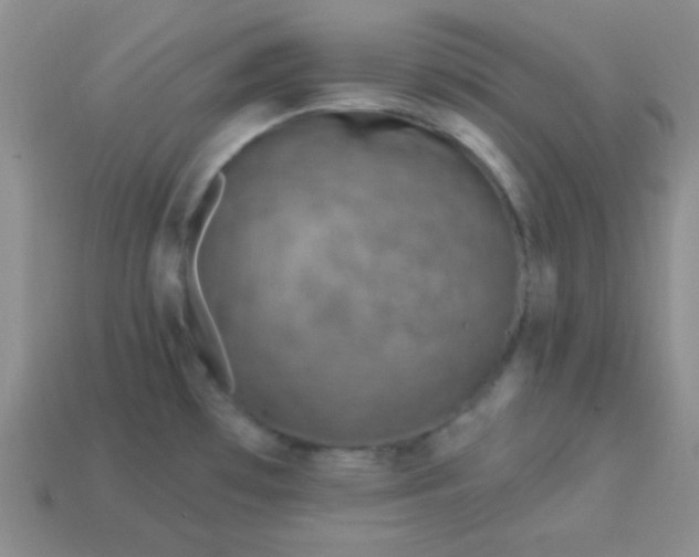 X0000113961481200910091619