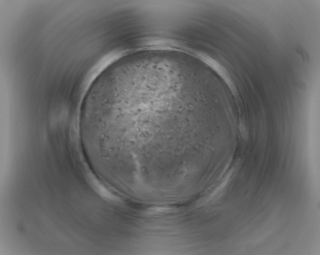 X0000113961482200910091619