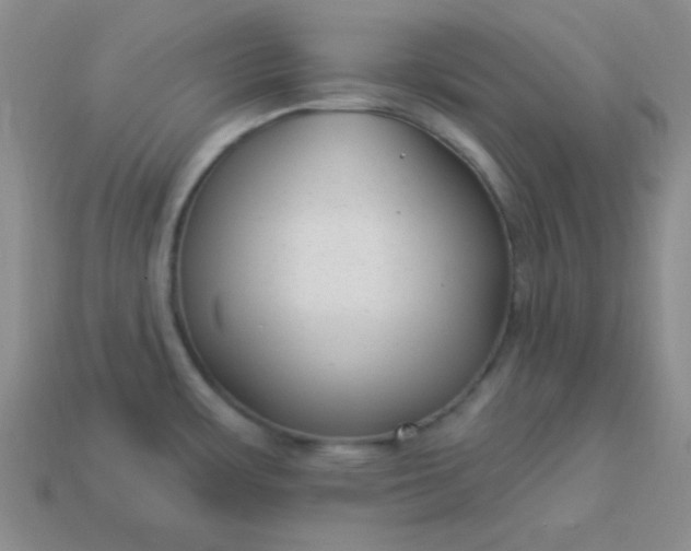 X0000113961483200910091619