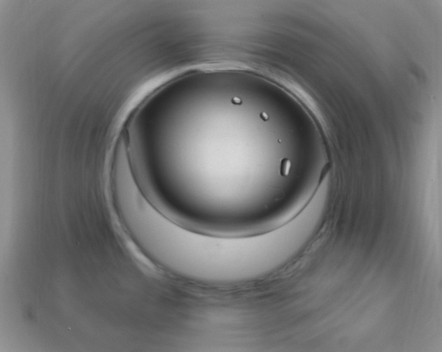 X0000113961485200910091619