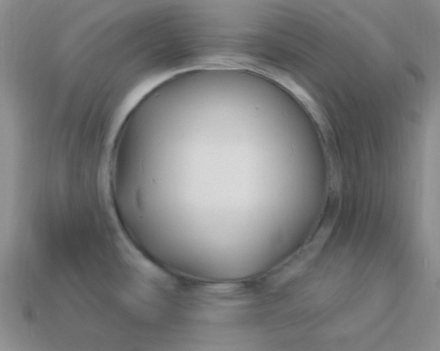 X0000113961486200910091619