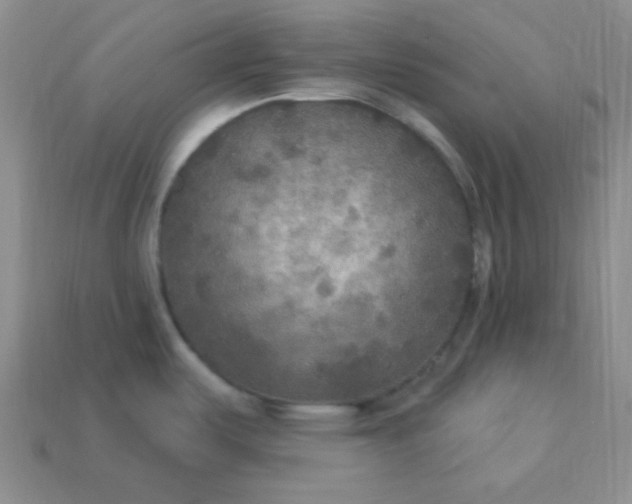 X0000113961487200910091619