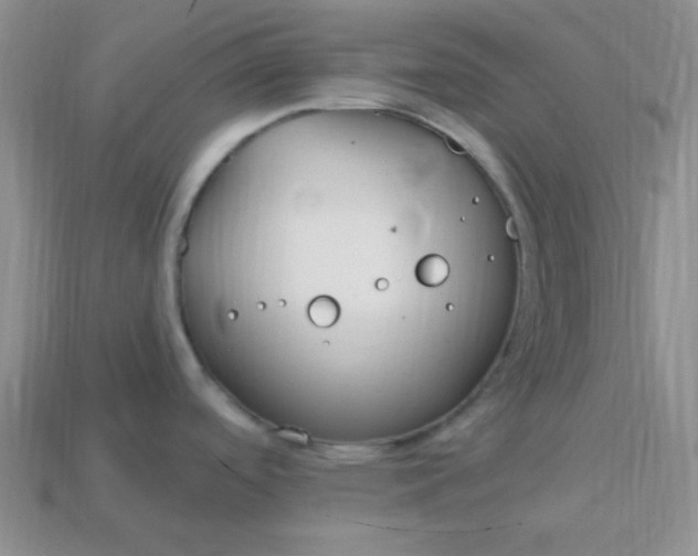 X0000113961488200910091619