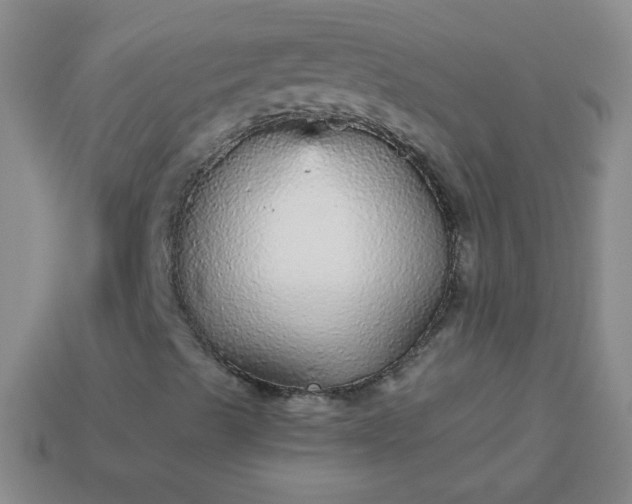 X0000113961489200910091618