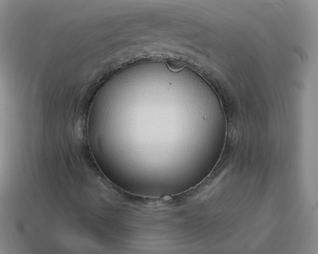 X0000113961490200910091618