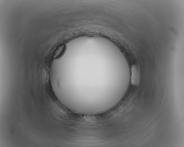 X0000113961491200910091618