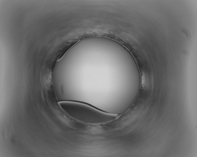 X0000113961492200910091618