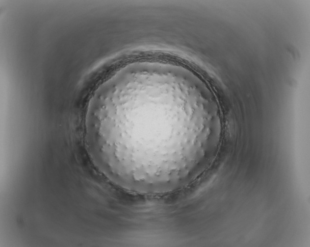 X0000113961494200910091618