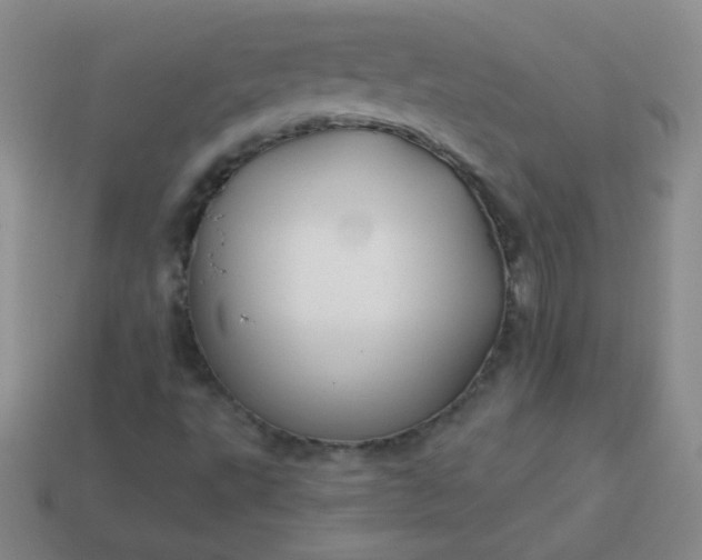 X0000113961495200910091618