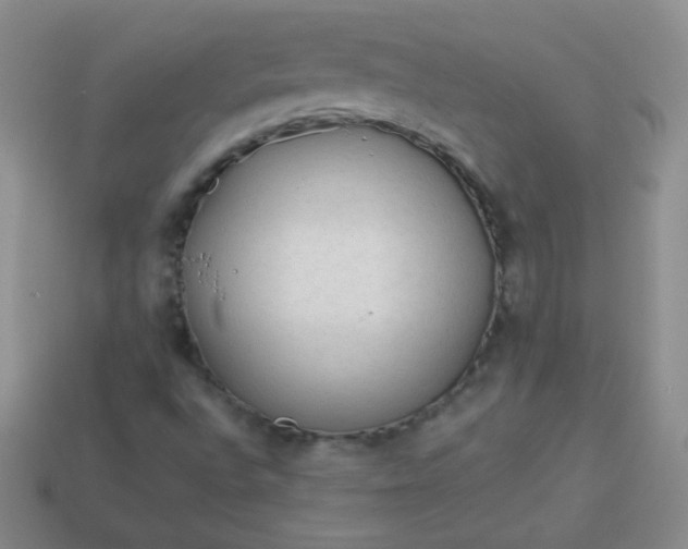 X0000113961496200910091618