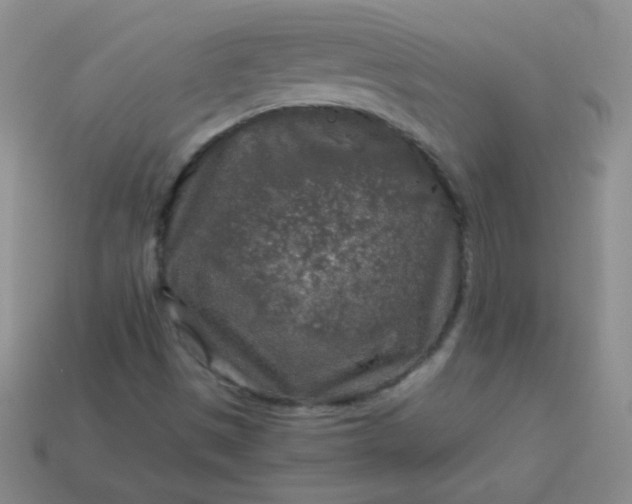 X0000113961497200910091618