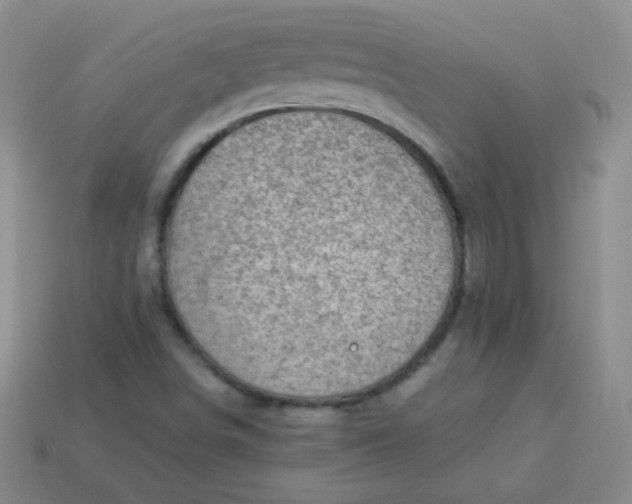 X0000113961498200910091618