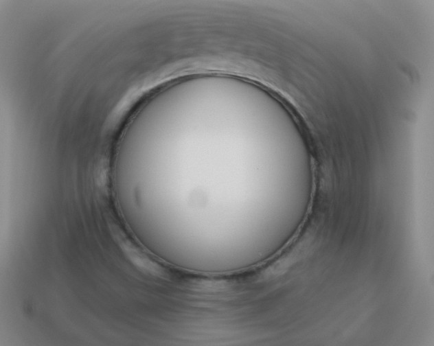 X0000113961499200910091618