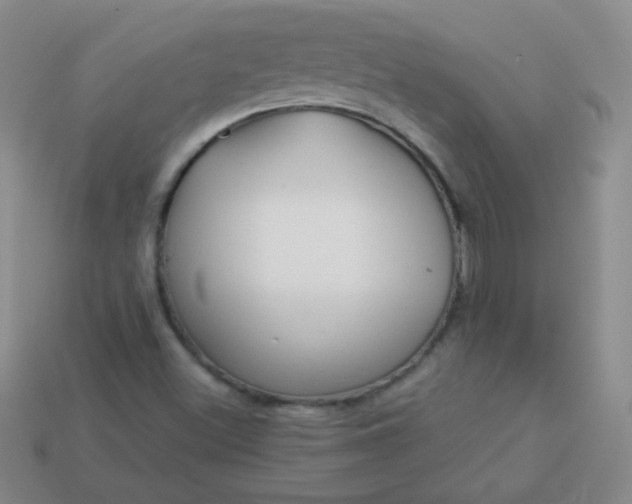 X0000113961500200910091618