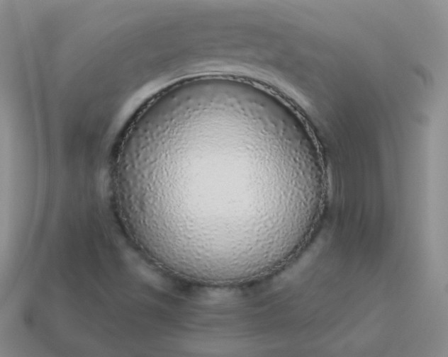 X0000113961501200910091618