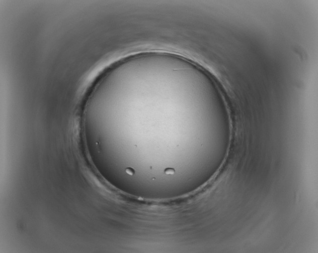 X0000113961503200910091618