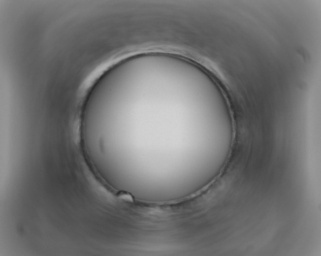 X0000113961504200910091618