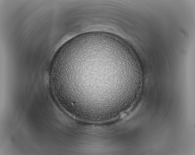 X0000113961505200910091618