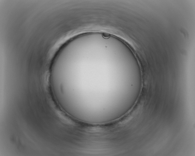 X0000113961507200910091618