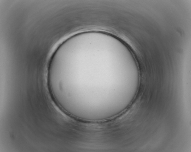 X0000113961508200910091618