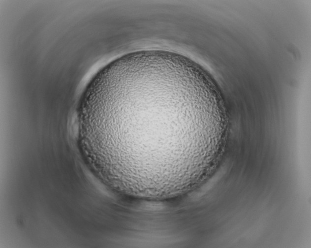 X0000113961509200910091619