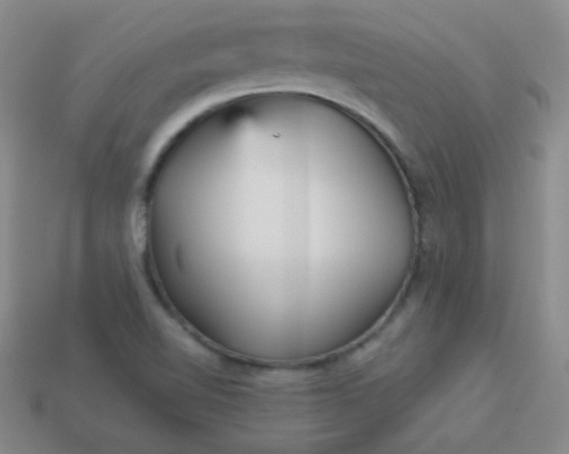 X0000113961510200910091619