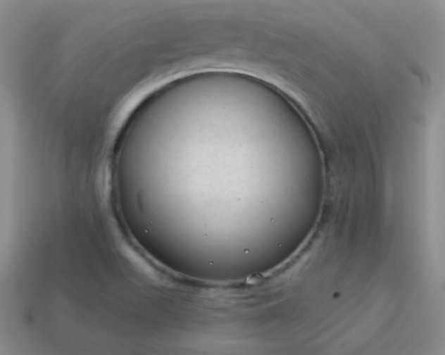 X0000113961511200910091619