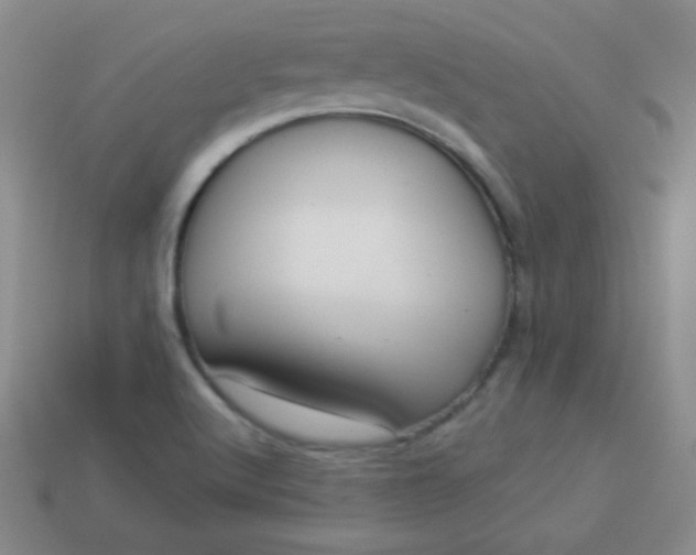 X0000113961512200910091619