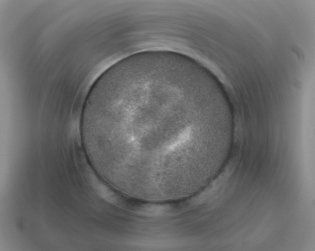 X0000113961513200910091619