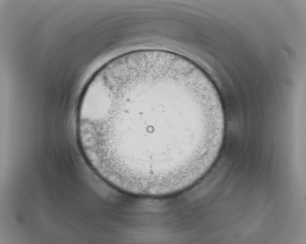 X0000113961514200910091619