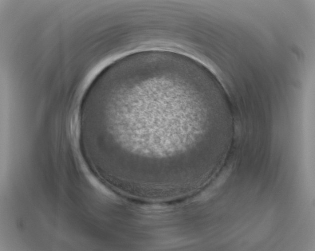 X0000113961515200910091619