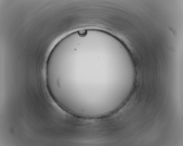 X0000113961516200910091619