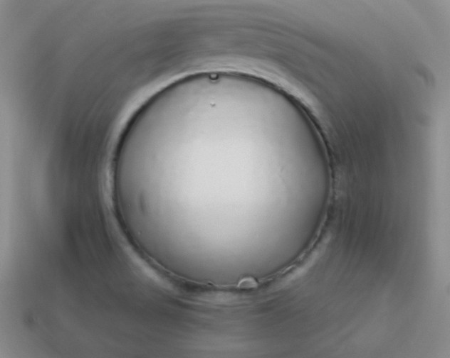 X0000113961517200910091619