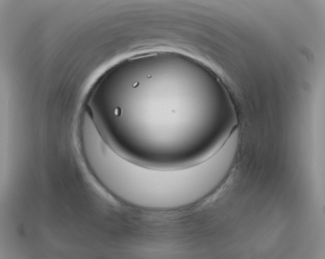 X0000113961518200910091619